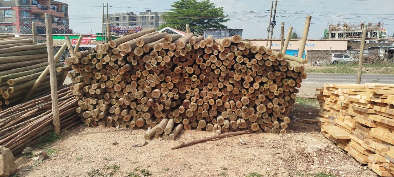 Gumpoles & Treated Posts